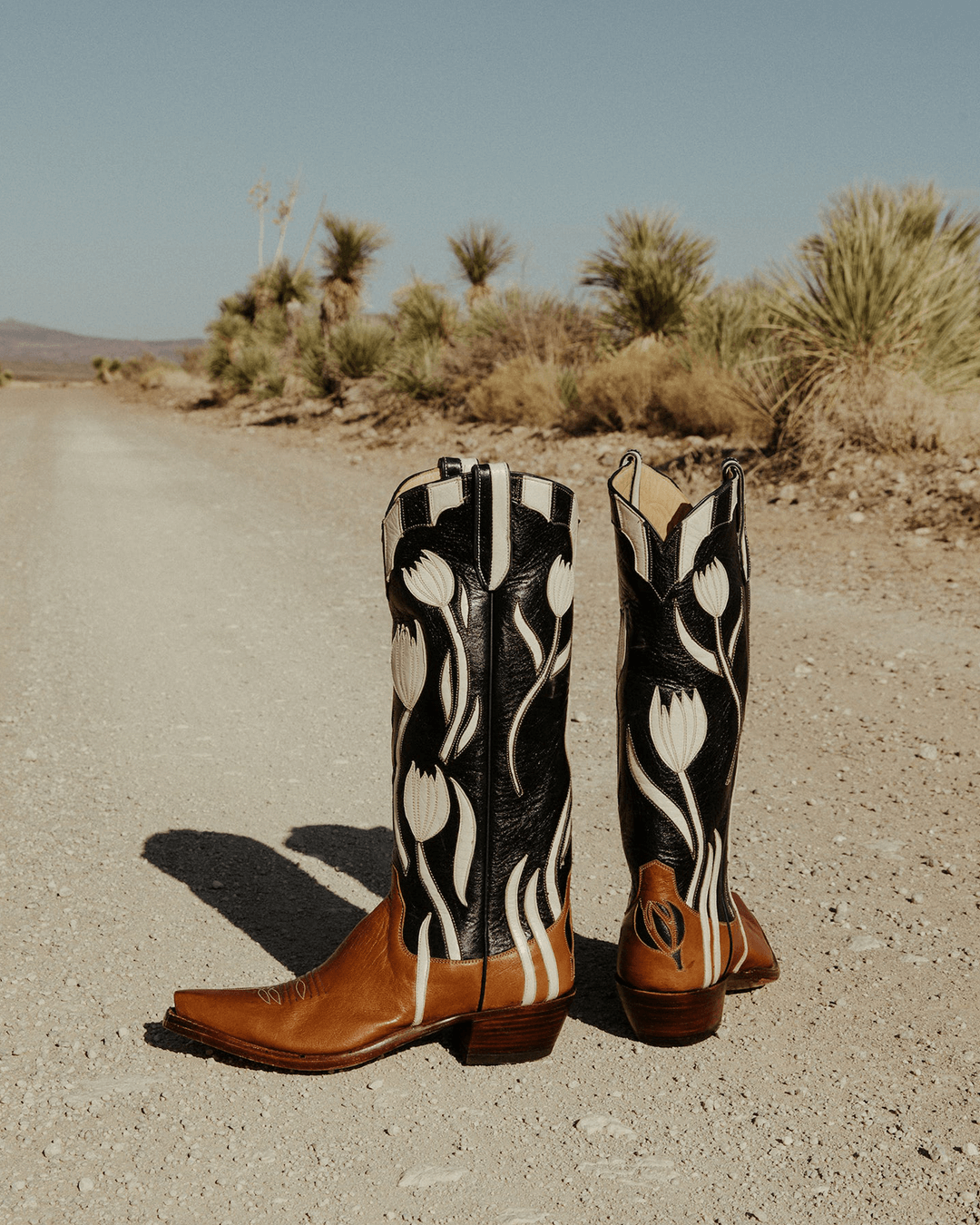 Dolly Navy Women&